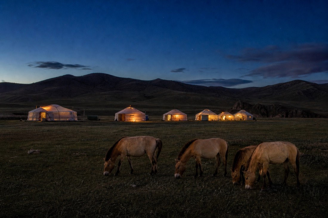Traditional Mongolian ger tents glowing with warm lantern light at dusk on the open steppe near Hustai National Park, dark silhouettes of low hills behind, the first stars appearing in a deep blue sky