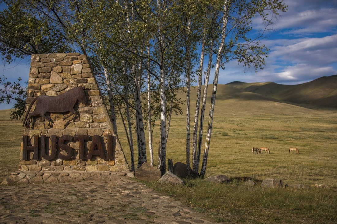 The Hustai National Park entrance sign beside birch trees in a steppe valley
